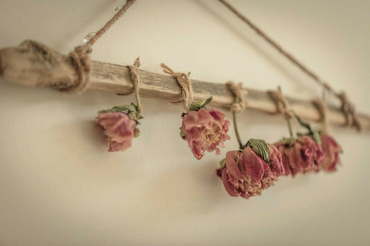 Rustic wall hanging of dried pink peonies tied with twine to a driftwood branch, against a neutral wall