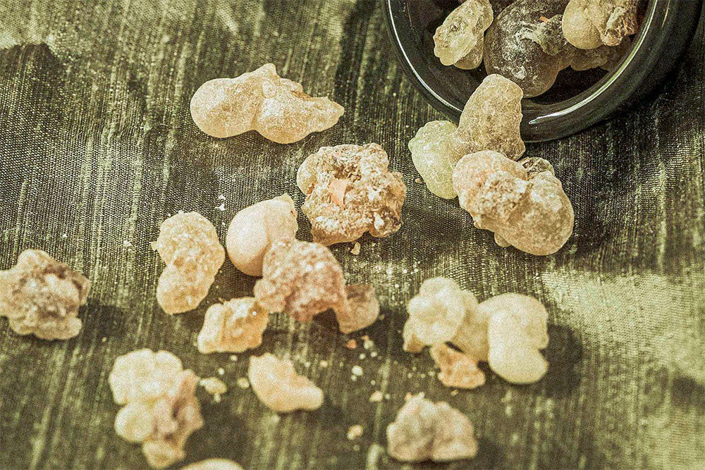 Frankincense | Resin of the Sacred Flame