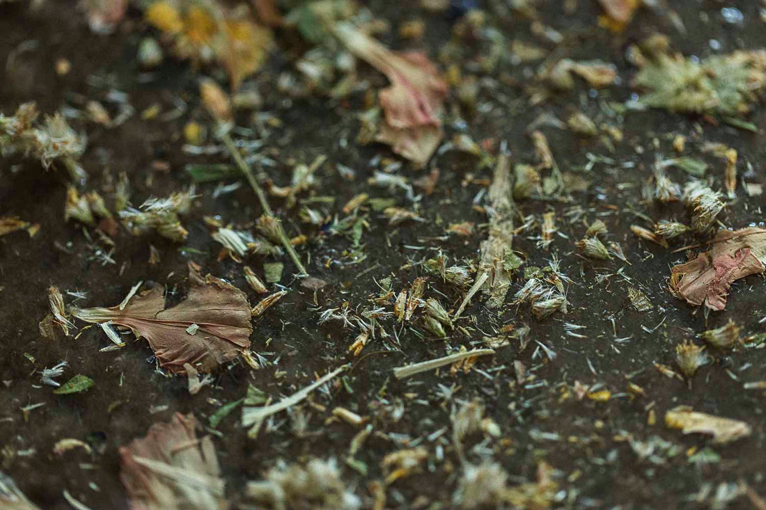 The Alchemy of Making | What Happens When We Make Things (and Why It Matters)