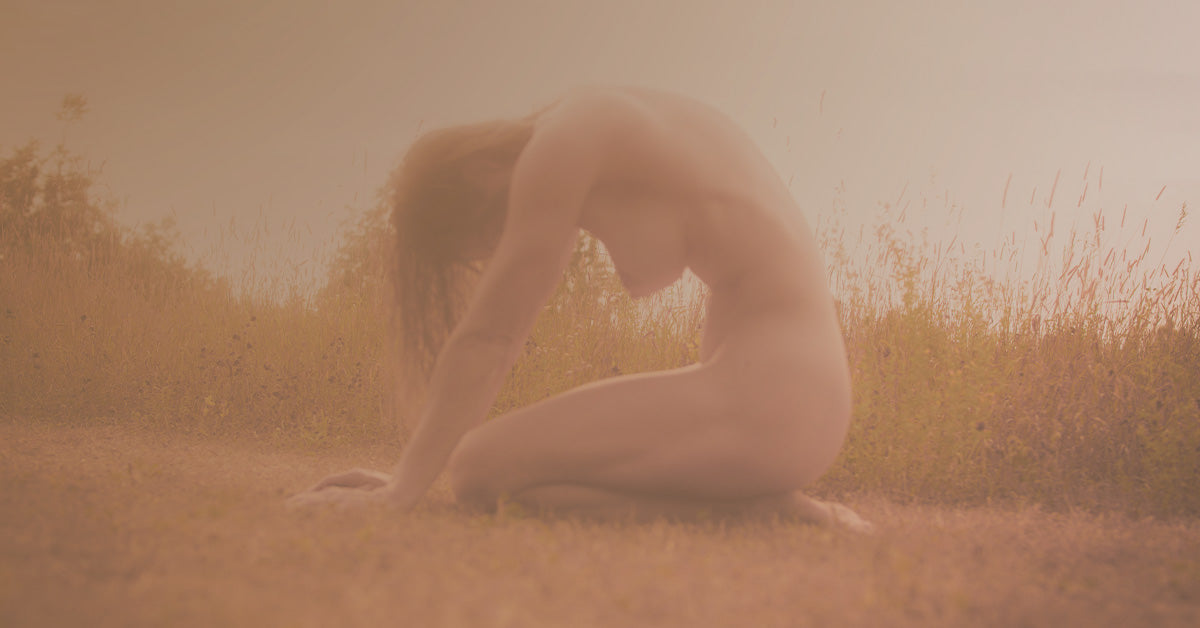 Events of the WYLDE