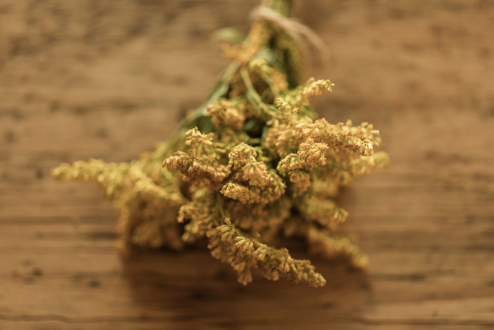 WYLDE Hot Tea Elixirs