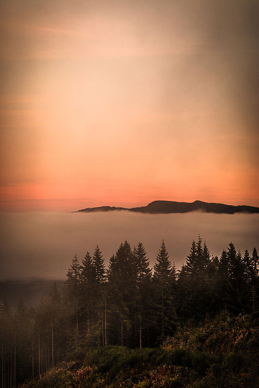 Fine art photograph of Fairy Creek on Vancouver Island at dusk, showing a fiery horizon with mist rolling over evergreen forest in warm light.