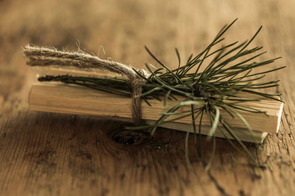 PINE SMUDGE | Ritual Sticks
