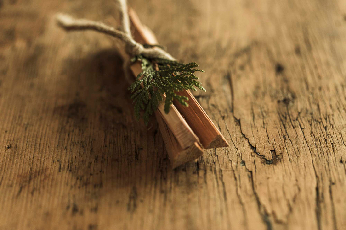 CEDAR SMUDGE | Grounding Ritual Sticks