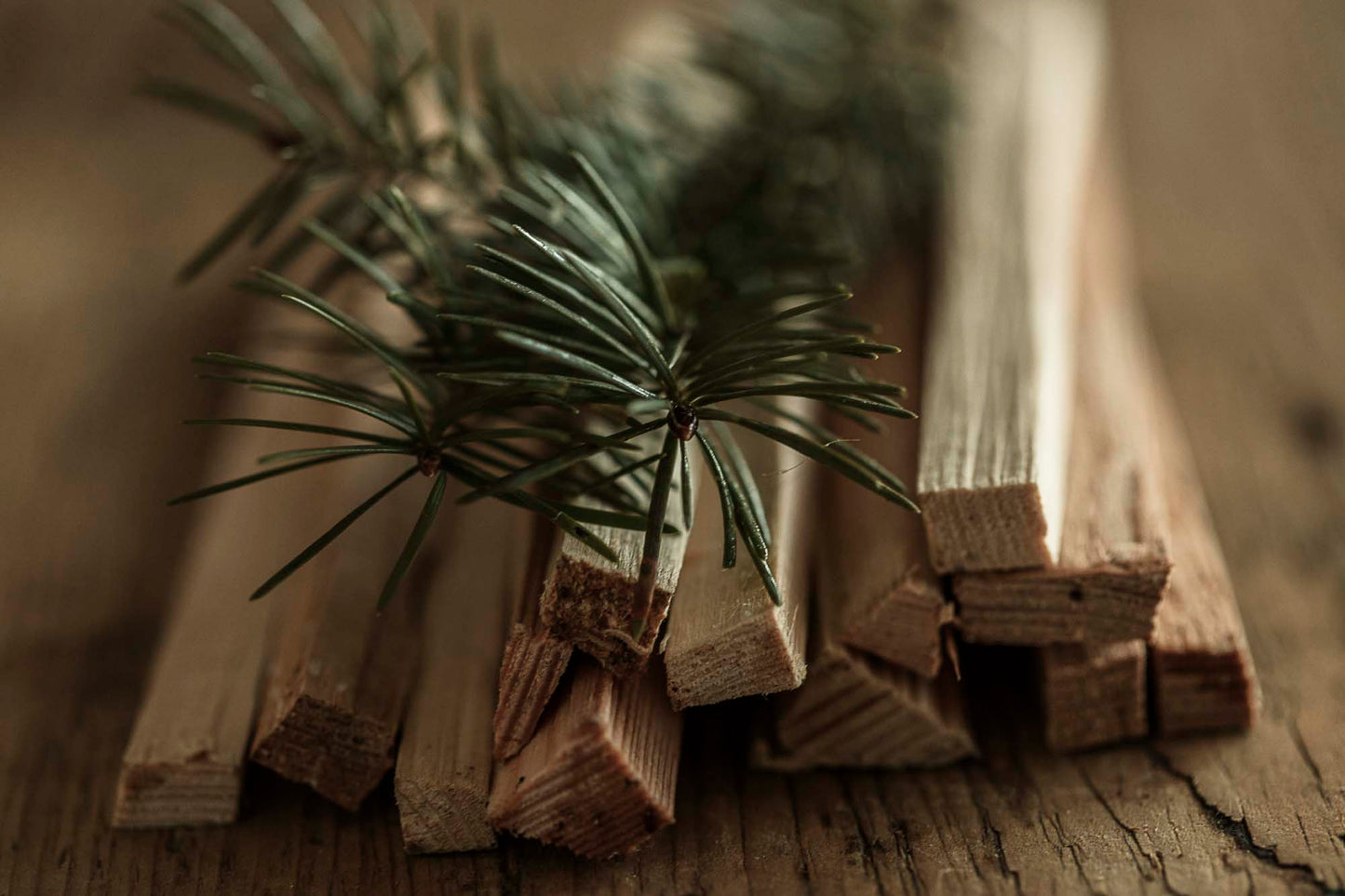 DOUGLAS FIR SMUDGE | Ritual Sticks