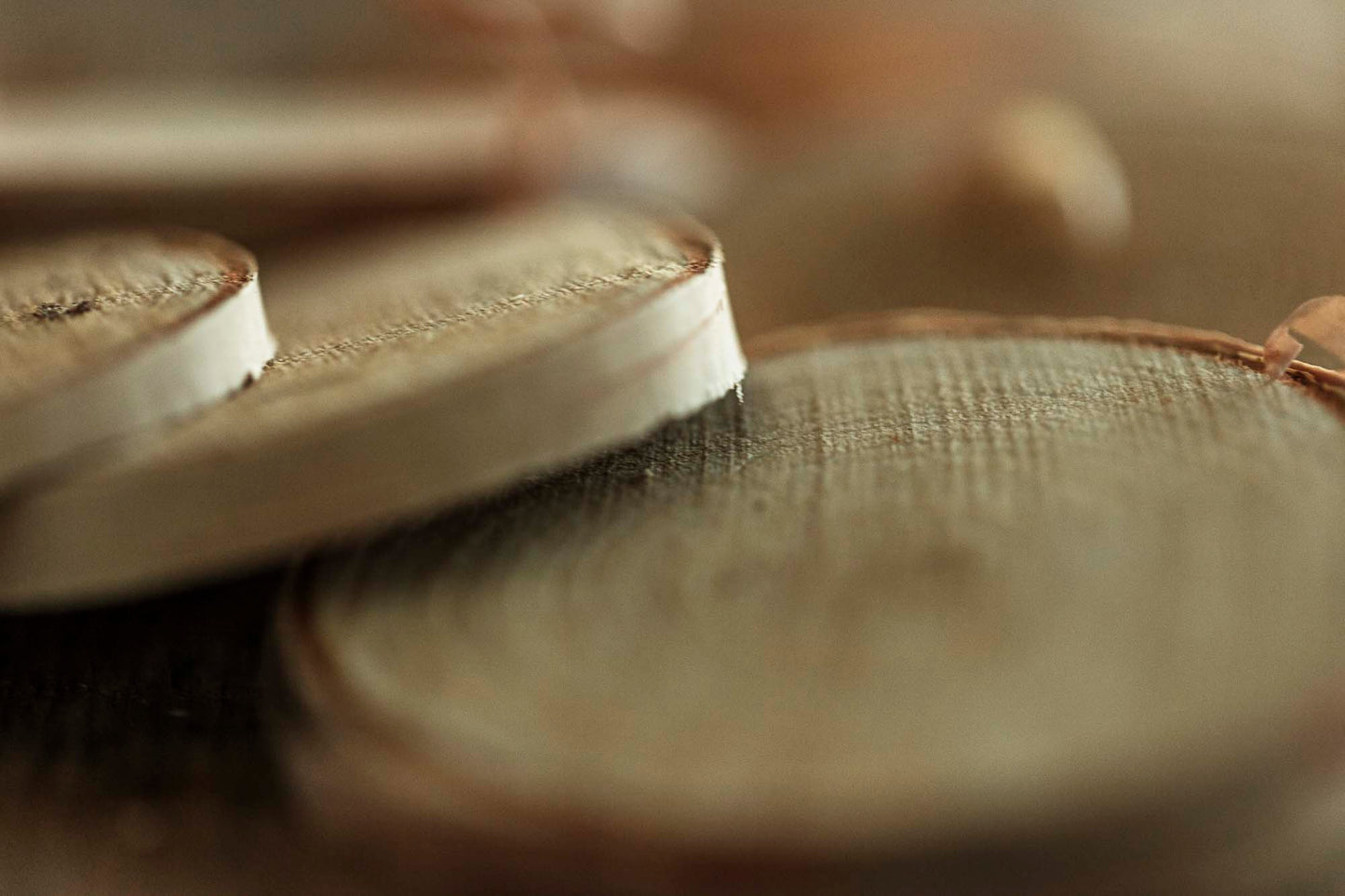 BIRCH SMUDGE | Renewal Ritual Rounds