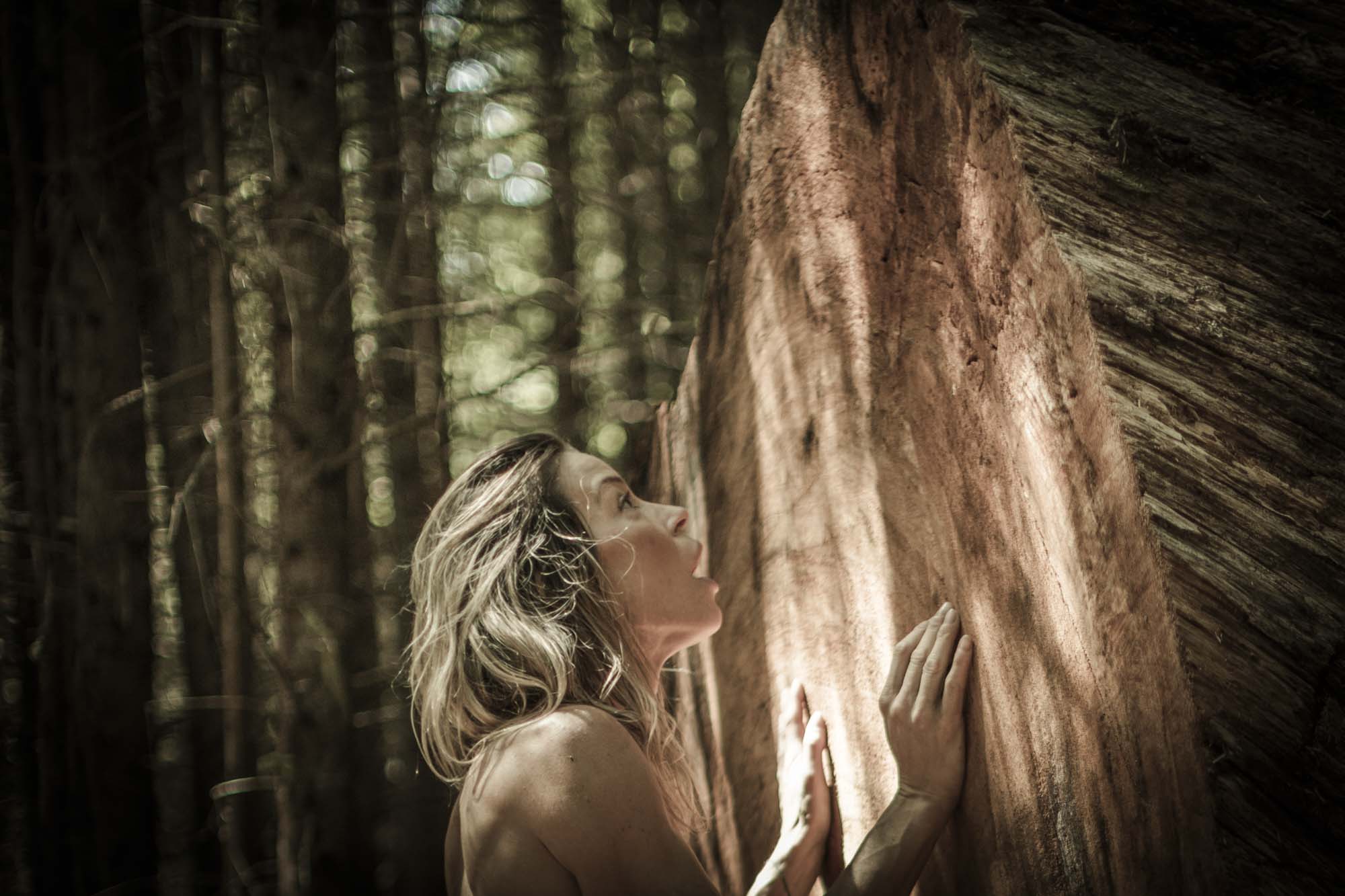 Amy Lynn Grover embracing a large Cedar tree in a forest