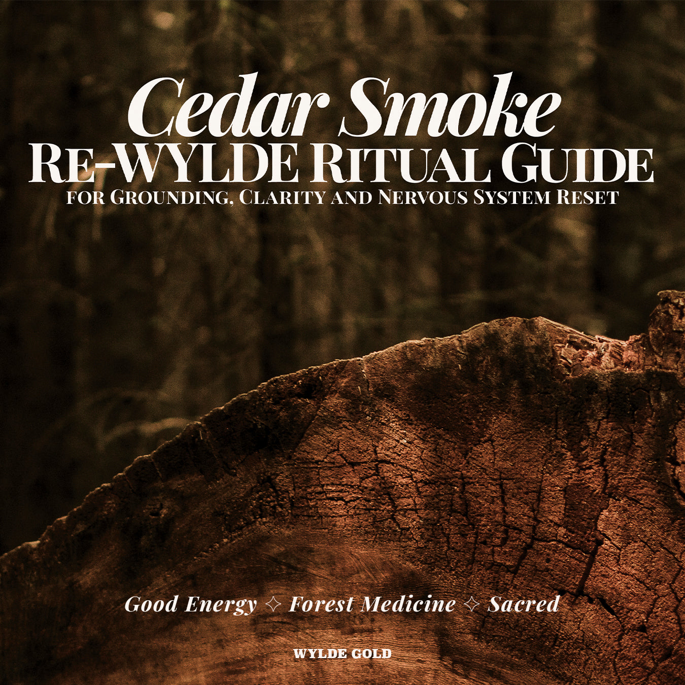 CEDAR SMUDGE | Grounding Ritual Sticks