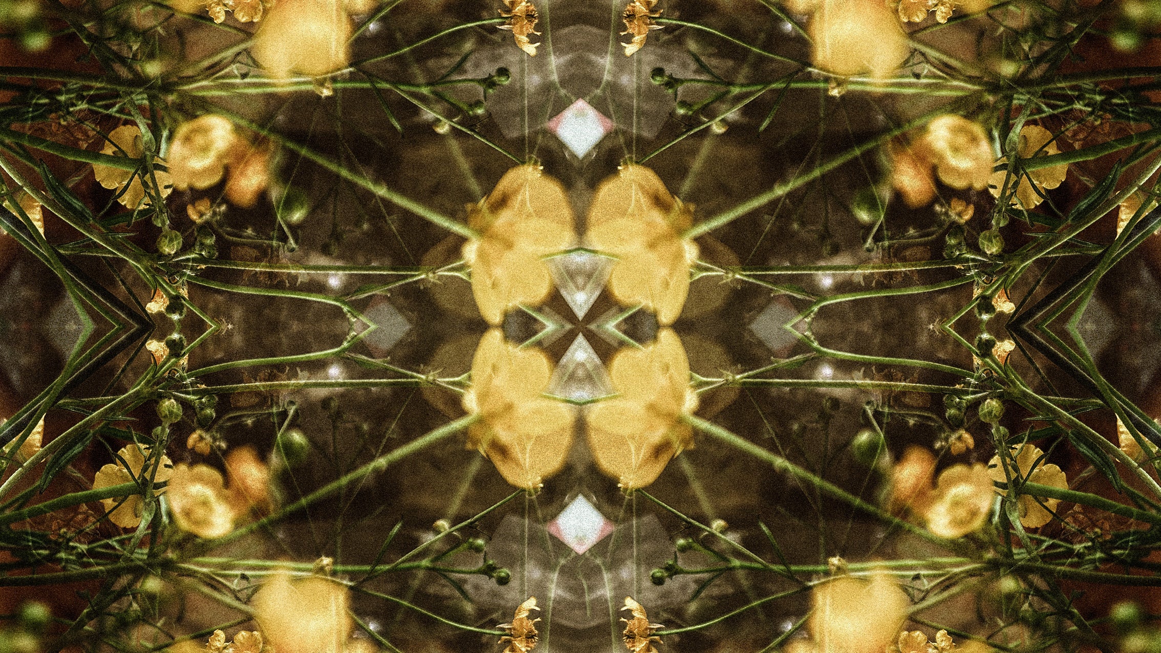 Mandala design with flowers and leaves in a symmetrical pattern