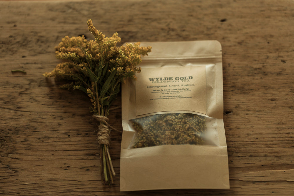 GOLDENROD TEA | Wild-Crafted Herbal Ritual for Strength, Light & Protection