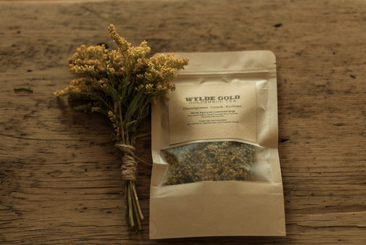 GOLDENROD TEA | Wild-Crafted Herbal Ritual for Strength, Light & Protection