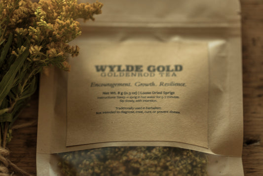 GOLDENROD TEA | Wild-Crafted Herbal Ritual for Strength, Light & Protection
