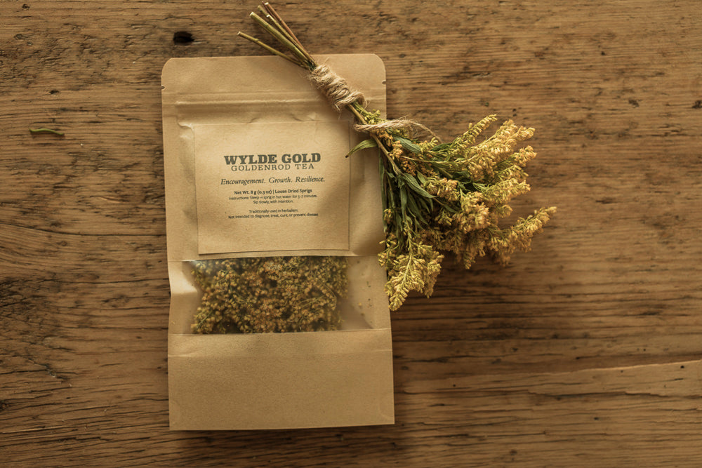 GOLDENROD TEA | Wild-Crafted Herbal Ritual for Strength, Light & Protection