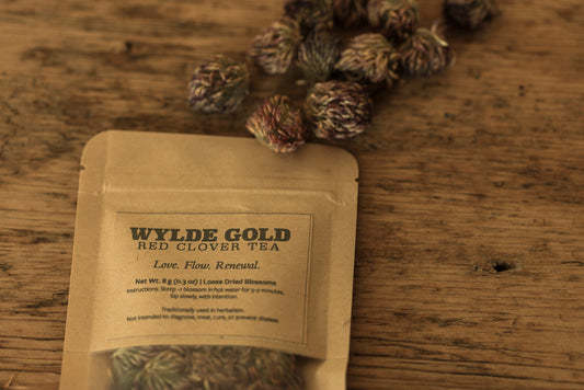 RED CLOVER TEA | Wild-Crafted Herbal Ritual for Love, Flow & Renewal