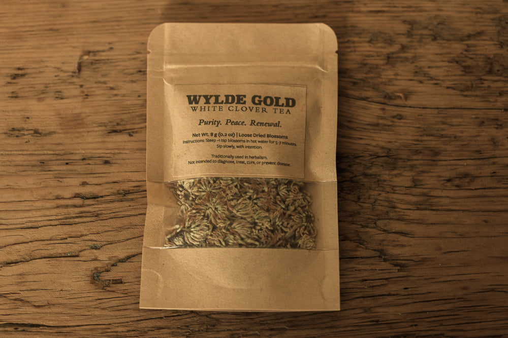 WHITE CLOVER TEA | Wild-Crafted Herbal Ritual for Purity, Peace & Renewal