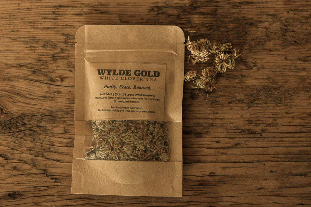 WHITE CLOVER TEA | Wild-Crafted Herbal Ritual for Purity, Peace & Renewal