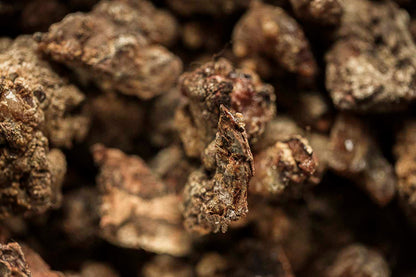 Raw conifer tree resin pieces used for forest incense, smudging rituals, and natural aromatic smoke.