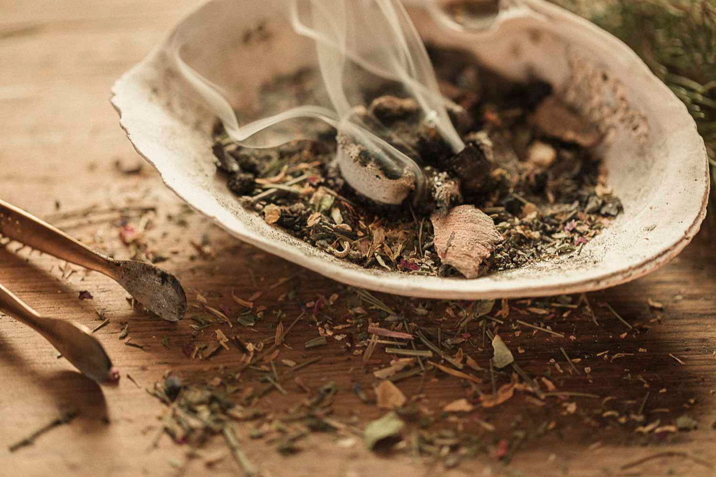 Raw Conifer Resin Incense | Ritual Smudge