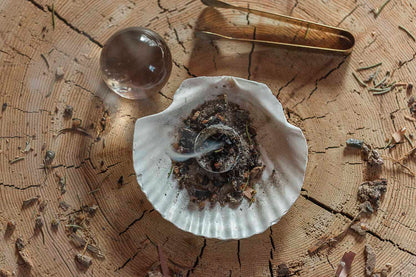 Fairy Dust Smudge |  Forest Frequency Ritual Blend