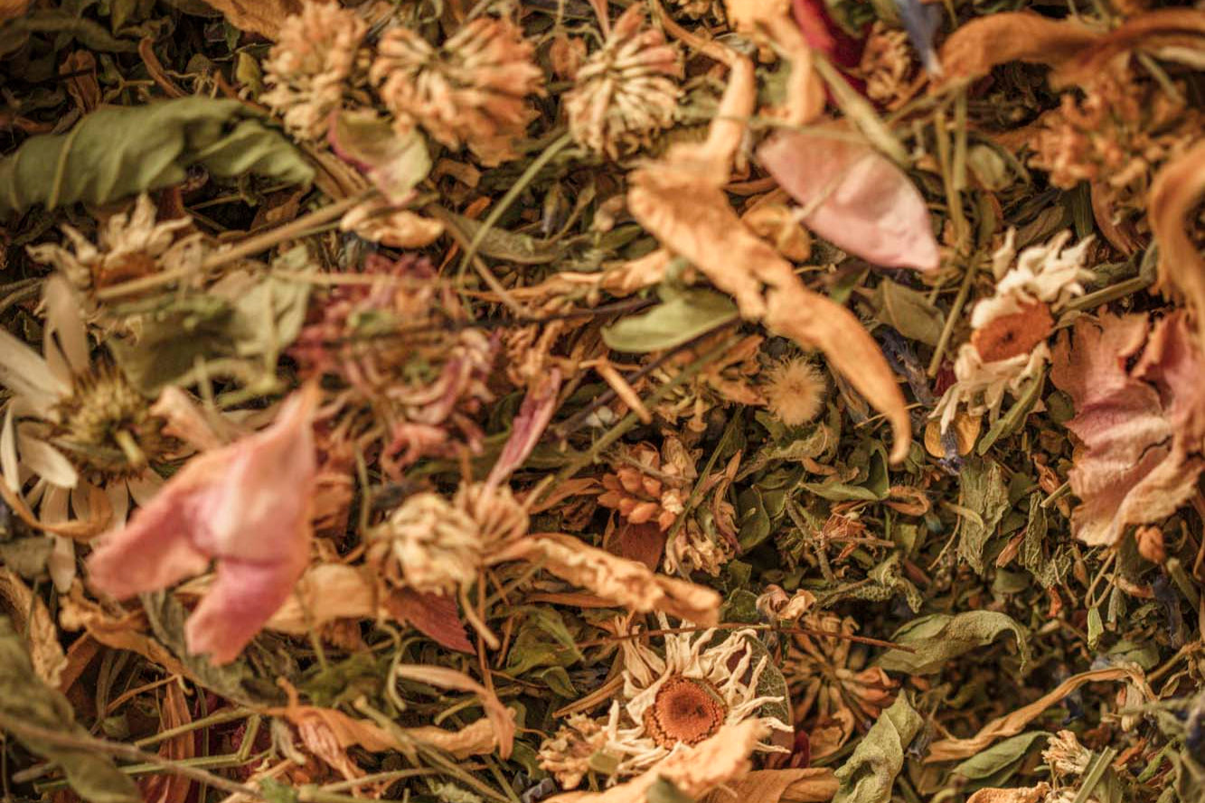 A tapestry of sun-warmed petals, leaves, and meadow blooms — a wild harvest turned to golden dust.