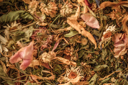 A tapestry of sun-warmed petals, leaves, and meadow blooms — a wild harvest turned to golden dust.