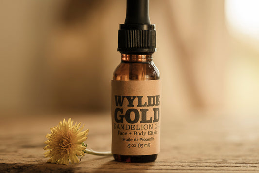 DANDELION OIL | Organic Botanical Ritual Body Elixir