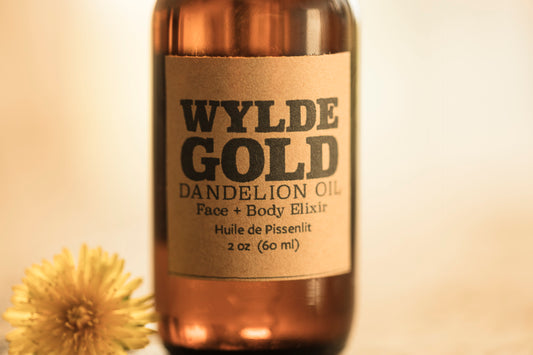 DANDELION OIL | Organic Botanical Ritual Body Elixir