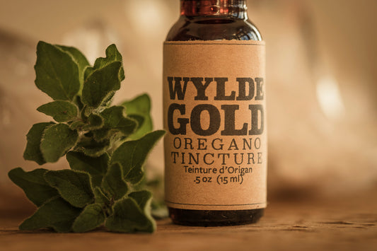 OREGANO TINCTURE | Tonic of the WYLDE Elixir  — Gut Glow, Immunity + Energy Cleanse