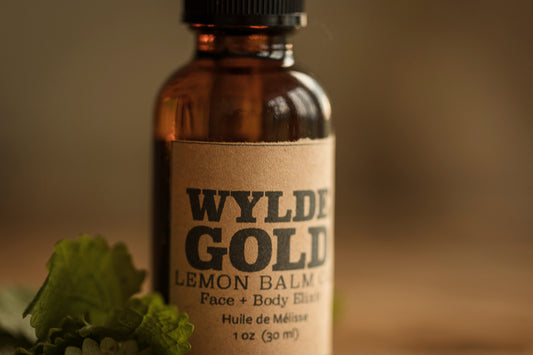 LEMON BALM OIL | Calming Herbal Face Oil for Nervous System + Glow