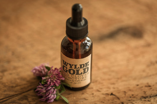 RED CLOVER TINCTURE | Tonic of the WYLDE Elixir — Gentle Grounding + Wild Renewal