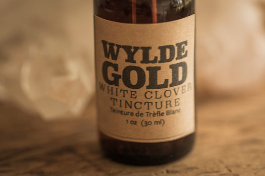 WHITE CLOVER TINCTURE | Tonic of the WYLDE Elixir — Calm Clarity + Gentle Light