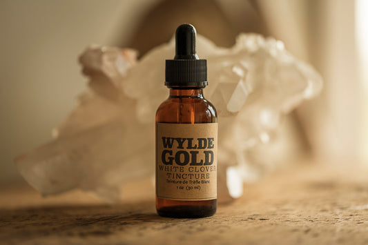 WHITE CLOVER TINCTURE | Tonic of the WYLDE Elixir — Calm Clarity + Gentle Light