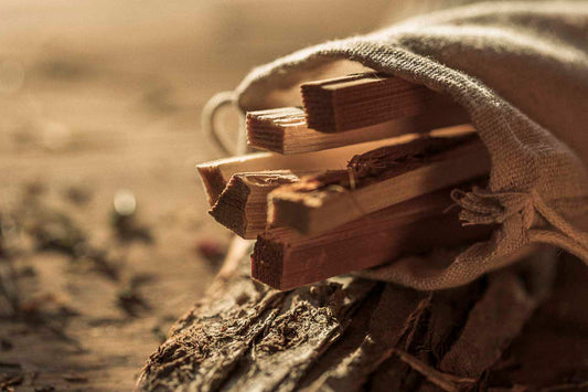 Wooden sticks held by a drawstring bag in a natural setting