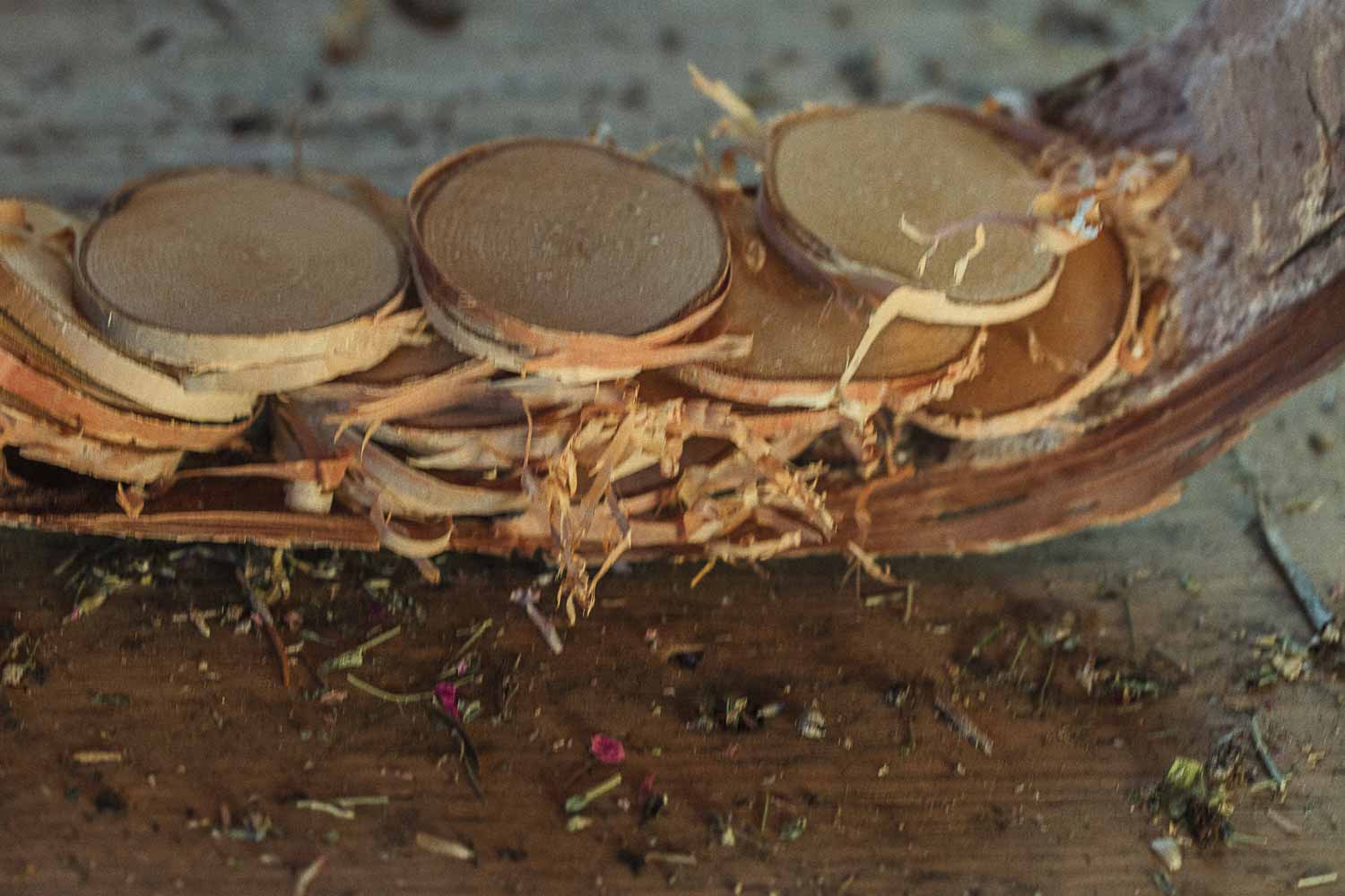 Close up of birch slices in a piece of bark on a wooden surface with dried herbs