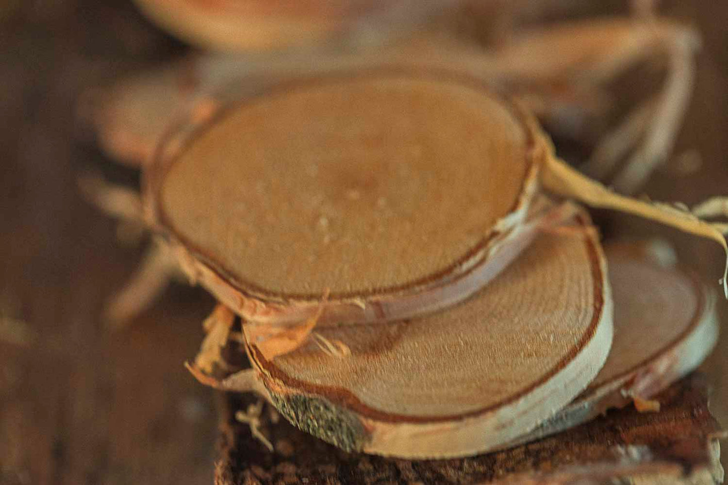 Close up of birch slices on a wooden surface  