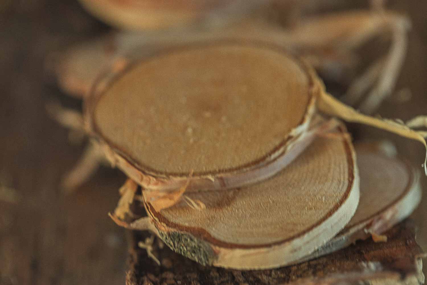 Close up of birch slices on a wooden surface  