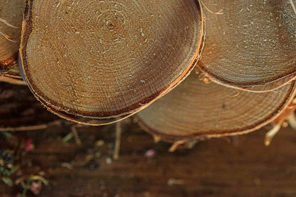 Close-up of stacked birchrounds with visible grain and texture.