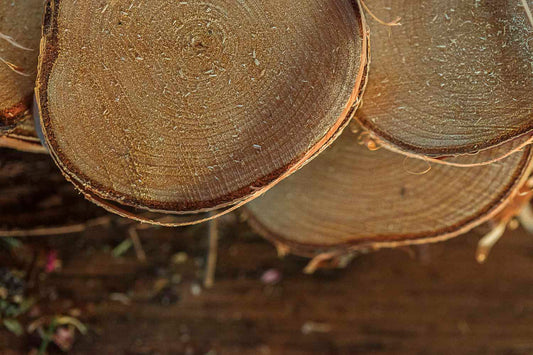 Close-up of stacked birchrounds with visible grain and texture.