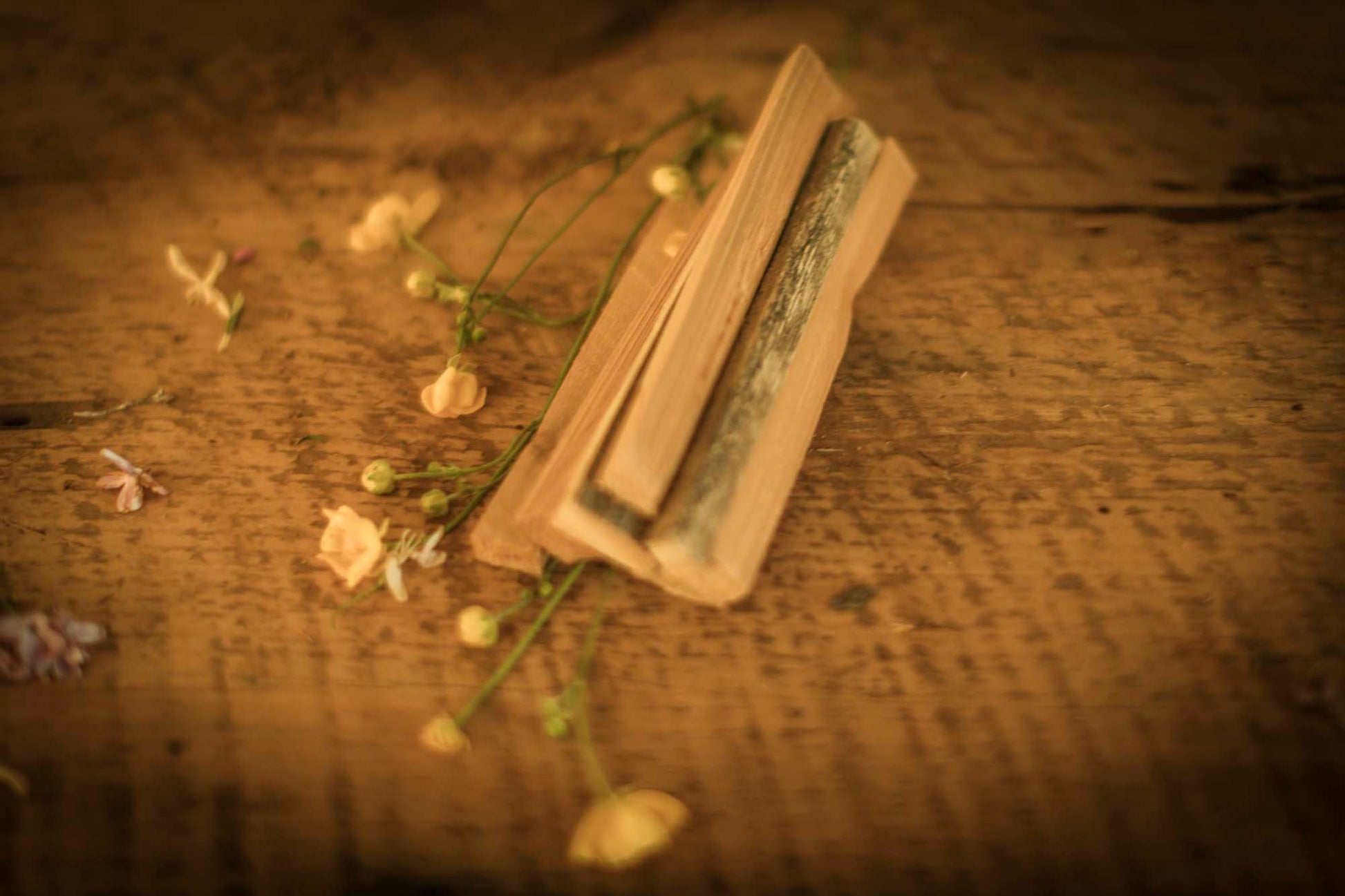 WYLDE GOLD Cedar Smudge Stick Bundle on rustic wood