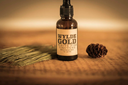 WYLDE GOLD White Pine Tincture — amber dropper bottle on rustic wood with pine sprig & cone