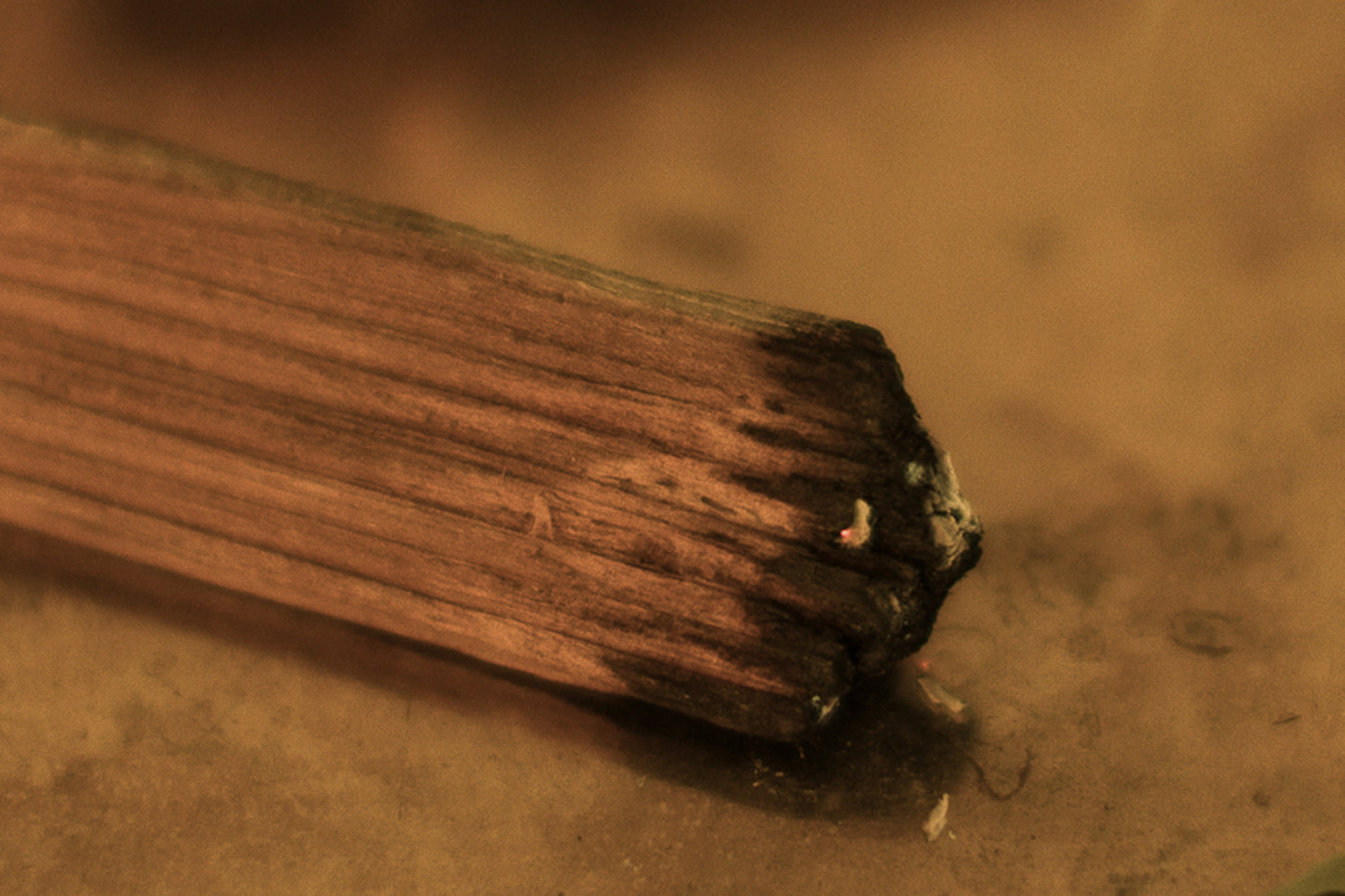 CEDAR SMUDGE | Grounding Ritual Sticks