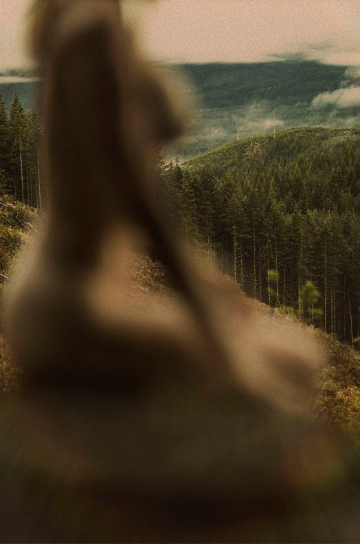 WYLDE GOLD | Silhouetted nude figure overlooking misty forest valley, embodying solitude, reverence, and ritual reflection
