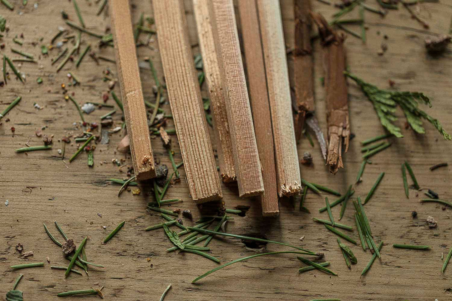Cedar Smudge | Grounding Ritual Sticks