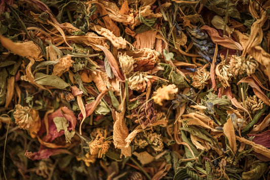 A tapestry of sun-warmed petals, leaves, and meadow blooms — a wild harvest turned to golden dust.