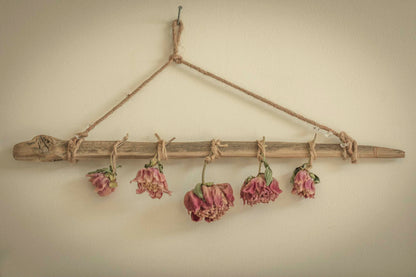 Blush peonies hang in gentle surrender from a driftwood branch, each bloom a soft echo of summer past