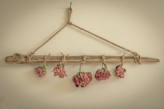 Blush peonies hang in gentle surrender from a driftwood branch, each bloom a soft echo of summer past