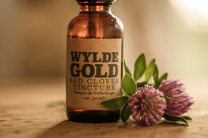 RED CLOVER TINCTURE | Tonic of the WYLDE Elixir — Gentle Grounding + Wild Renewal