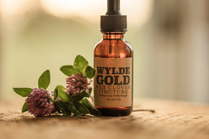 RED CLOVER TINCTURE | Tonic of the WYLDE Elixir — Gentle Grounding + Wild Renewal