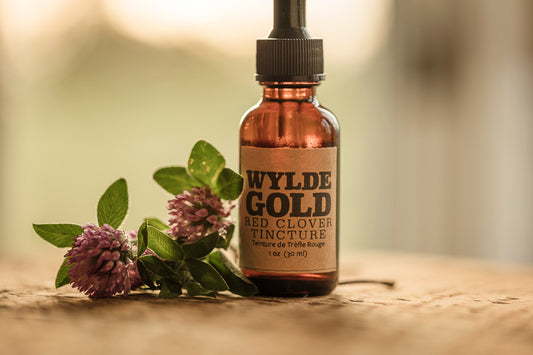 RED CLOVER TINCTURE | Tonic of the WYLDE Elixir — Gentle Grounding + Wild Renewal
